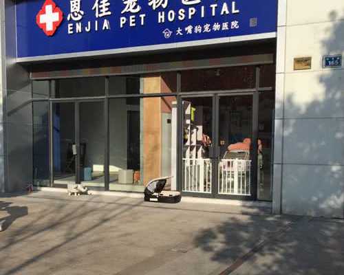 5个卵泡雌二醇多少？，借卵代怀价格