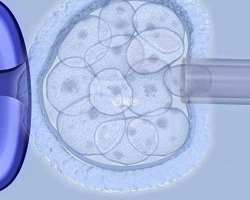 去做试管婴儿手术助孕的价格需要多少？，代孕有成功的吗