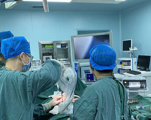 冻卵两个月费用要多少？冻多久能取出来，做代孕最好的公司